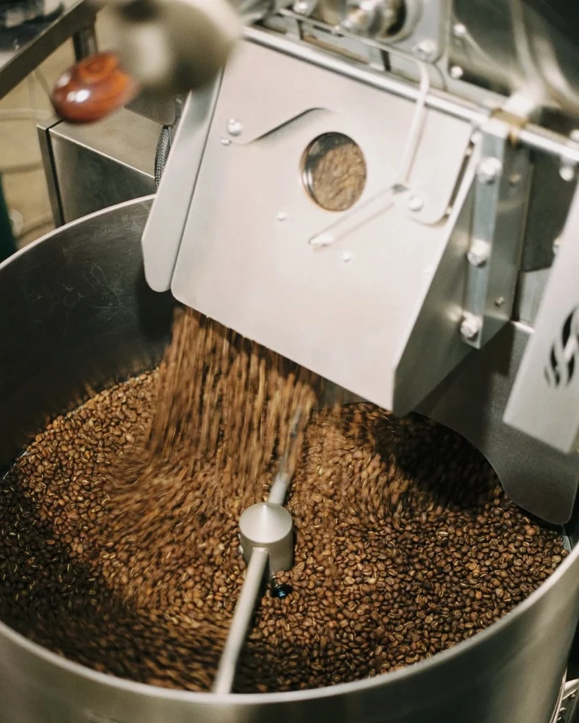 coffee roast levels comparison light medium dark